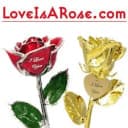 $10 Off On Orders Over $50 coupon code logo $10 Off On Orders Over $50 coupon code logo