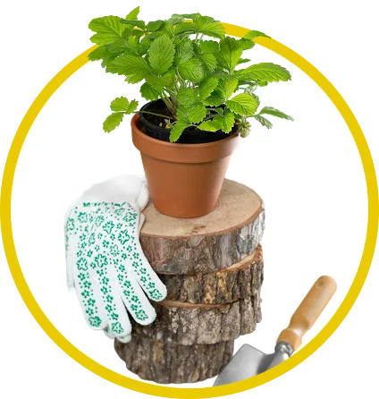 home and garden category icon