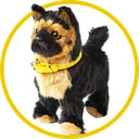pets category icon